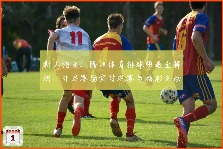 新人指南：腾讯体育排球频道全解析，开启赛场实时观赛与精彩互动体验